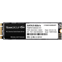 TeamGroup 256GB M.2 2280 MS30 (TM8PS7256G0C101)