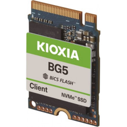 KIOXIA 256GB M.2 2230 NVMe BG5 Client (KBG50ZNS256G)