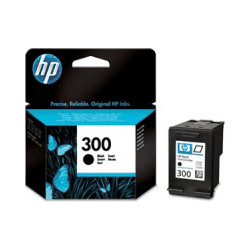 HP Tinte Nr 300 schwarz (CC640EE)