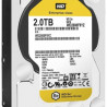 OEM 2TB WD 3.5 Gold SATAIII winchester (WD2005FBYZ)