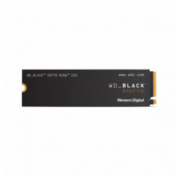 Western Digital 250GB M.2 2280 NVMe SN770 Black (WDS250G3X0E)