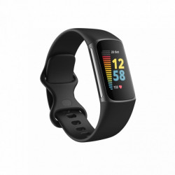 Fitbit Charge 5 Black with Graphite Stainless Steel (FB421BKBK)