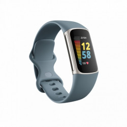 Fitbit Charge 5 Steel Blue with Platinum Stainless Steel (FB421SRBU)